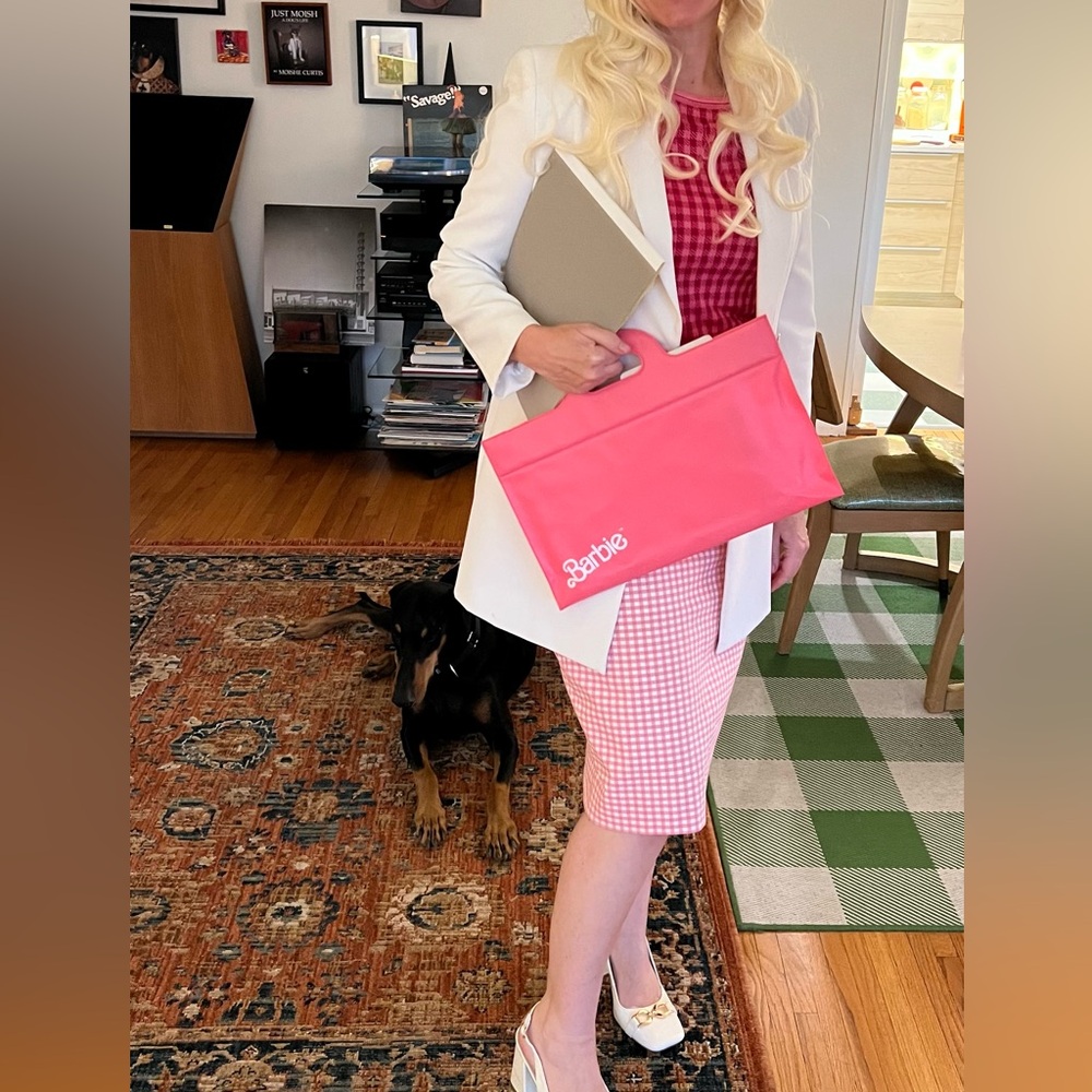 Barbie Briefcase Halloween Costume